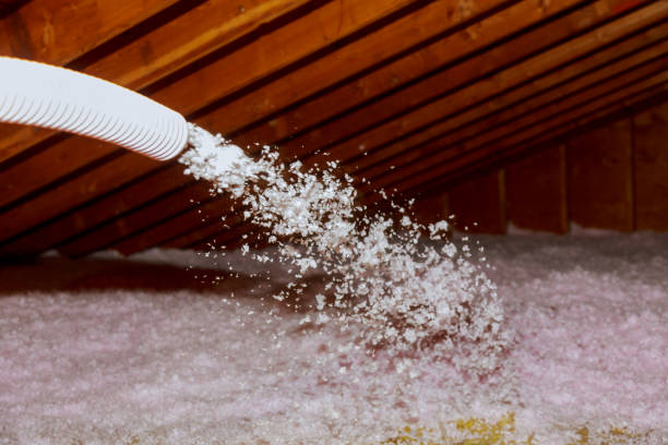Best Eco-Friendly Insulation in Lantana, FL