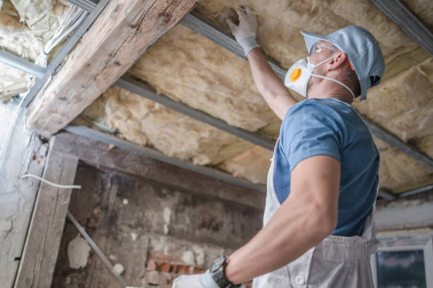 Best Cellulose Insulation in Lantana, FL