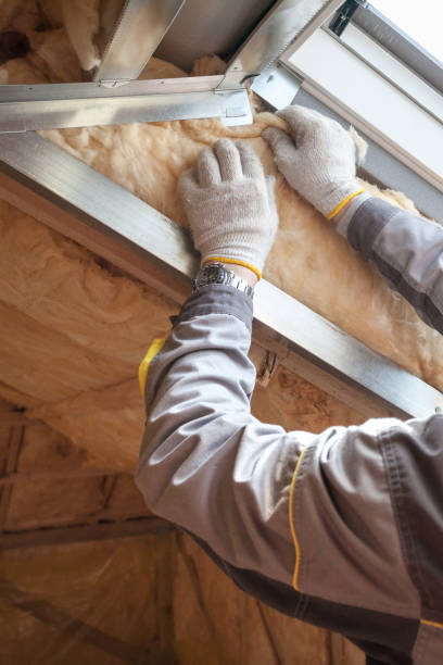 Types of Insulation We Offer in Lantana, FL