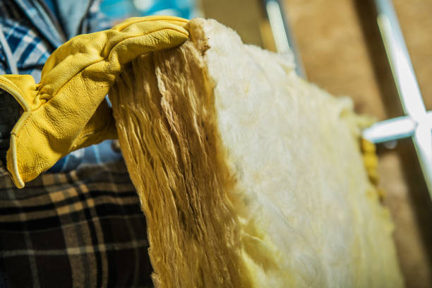 Best Cellulose Insulation in Lantana, FL