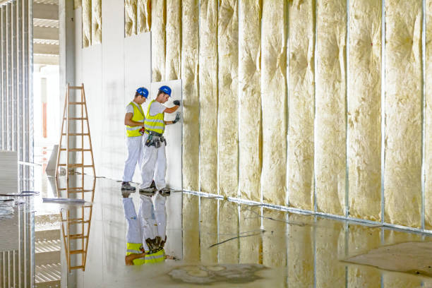 Professional Insulation Contractor in Lantana, FL